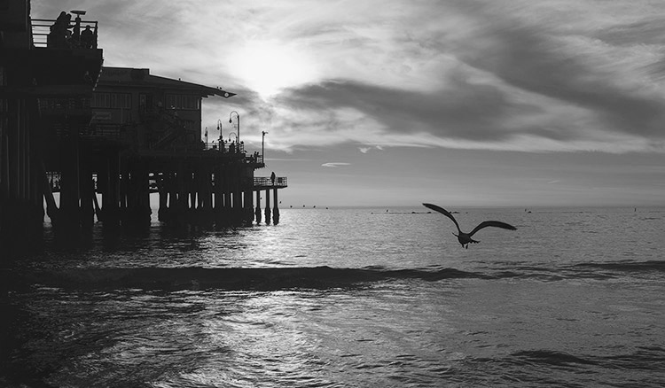 Travel insurance teaser image - black and white