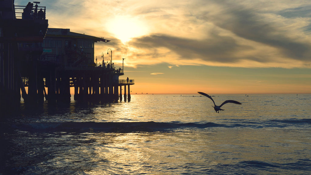 Travel insurance hero image