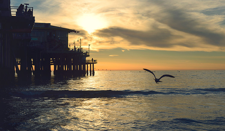 Travel insurance teaser image